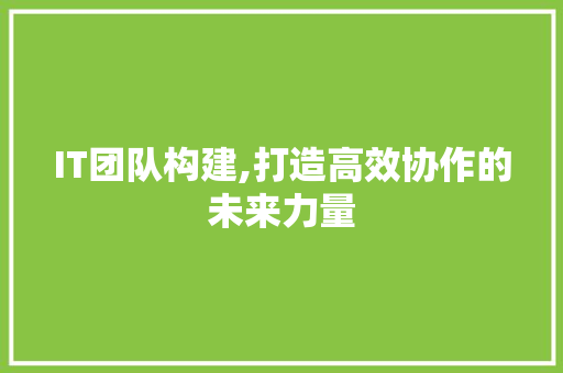 IT团队构建,打造高效协作的未来力量