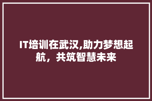 IT培训在武汉,助力梦想起航，共筑智慧未来 网站优化