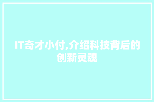 IT奇才小付,介绍科技背后的创新灵魂