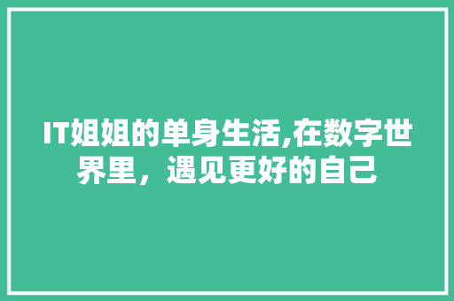 IT姐姐的单身生活,在数字世界里，遇见更好的自己