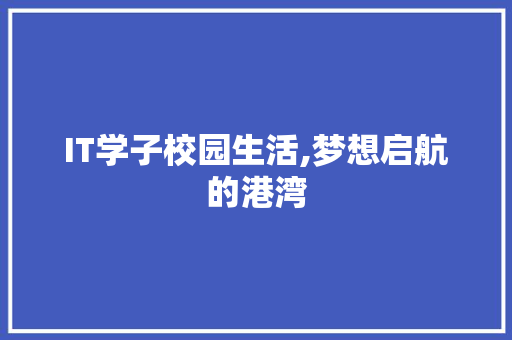 IT学子校园生活,梦想启航的港湾