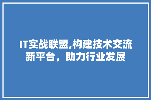 IT实战联盟,构建技术交流新平台，助力行业发展