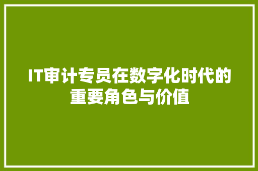 IT审计专员在数字化时代的重要角色与价值 英文谷歌算法