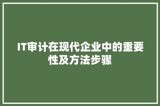 IT审计在现代企业中的重要性及方法步骤 搜狗优化