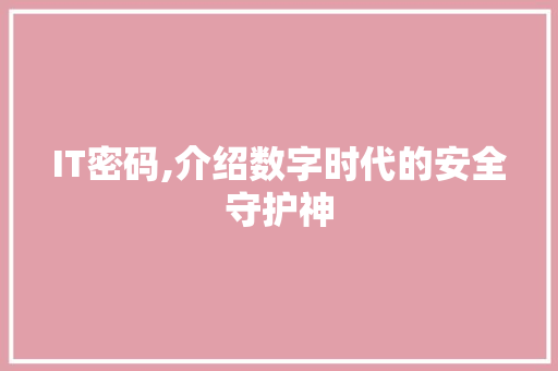 IT密码,介绍数字时代的安全守护神