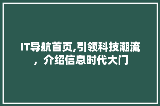 IT导航首页,引领科技潮流，介绍信息时代大门