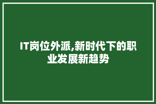 IT岗位外派,新时代下的职业发展新趋势