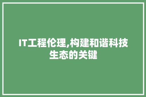 IT工程伦理,构建和谐科技生态的关键