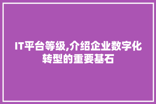 IT平台等级,介绍企业数字化转型的重要基石