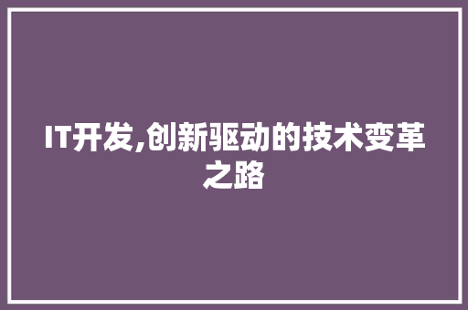 IT开发,创新驱动的技术变革之路