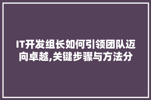 IT开发组长如何引领团队迈向卓越,关键步骤与方法分享