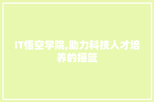 IT悟空学院,助力科技人才培养的摇篮 seo技术