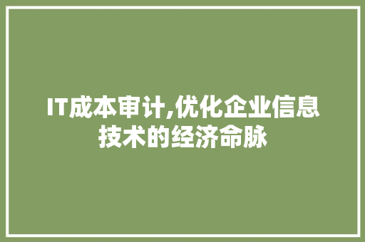 IT成本审计,优化企业信息技术的经济命脉