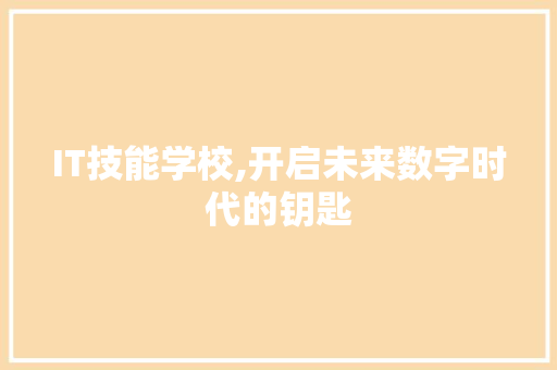 IT技能学校,开启未来数字时代的钥匙