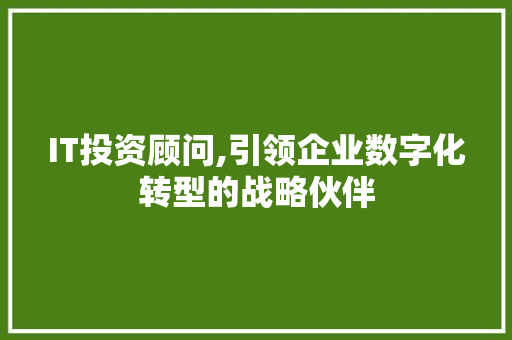IT投资顾问,引领企业数字化转型的战略伙伴