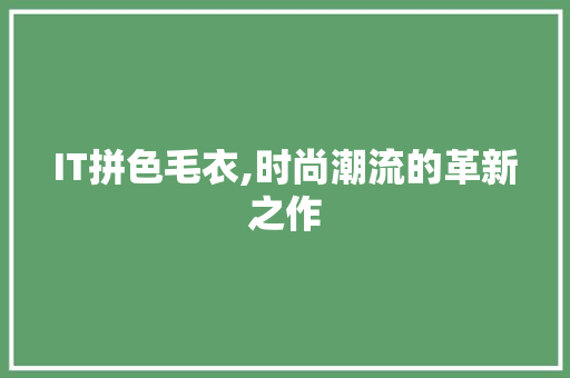 IT拼色毛衣,时尚潮流的革新之作 小程序开发