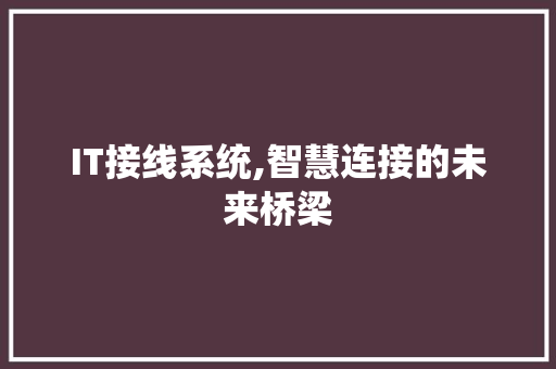 IT接线系统,智慧连接的未来桥梁