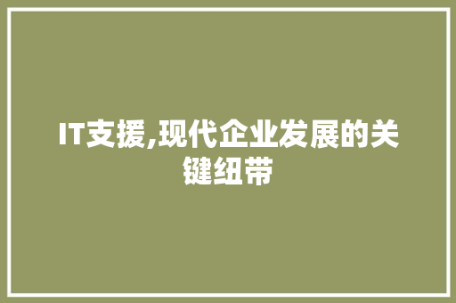 IT支援,现代企业发展的关键纽带