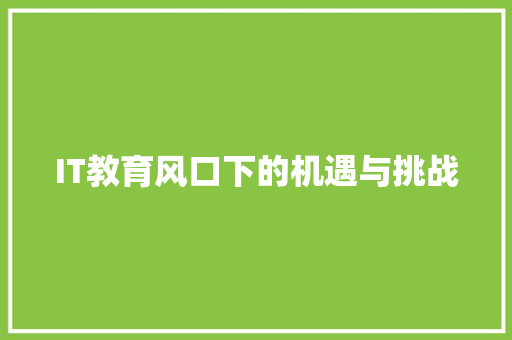 IT教育风口下的机遇与挑战