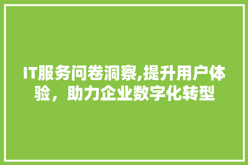 IT服务问卷洞察,提升用户体验，助力企业数字化转型