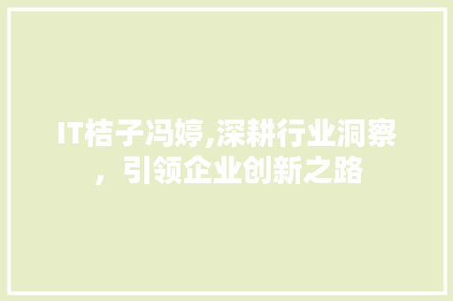 IT桔子冯婷,深耕行业洞察，引领企业创新之路