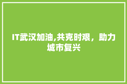 IT武汉加油,共克时艰，助力城市复兴