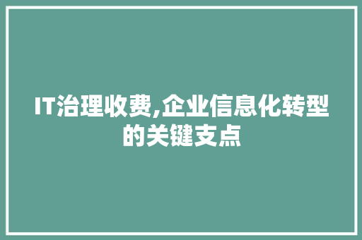 IT治理收费,企业信息化转型的关键支点