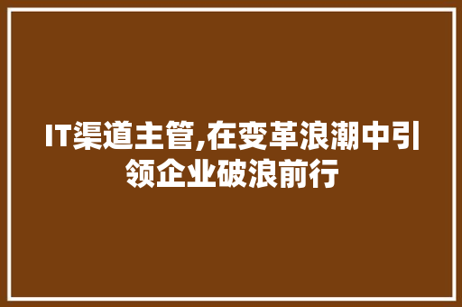 IT渠道主管,在变革浪潮中引领企业破浪前行