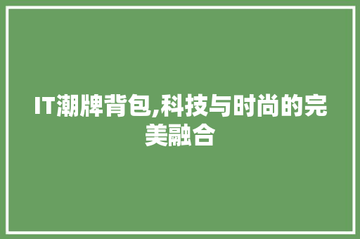 IT潮牌背包,科技与时尚的完美融合