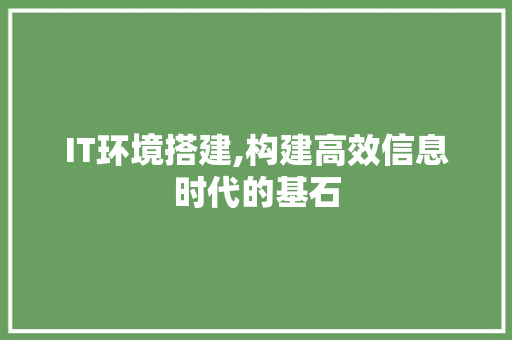 IT环境搭建,构建高效信息时代的基石