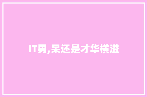IT男,呆还是才华横溢 百度算法