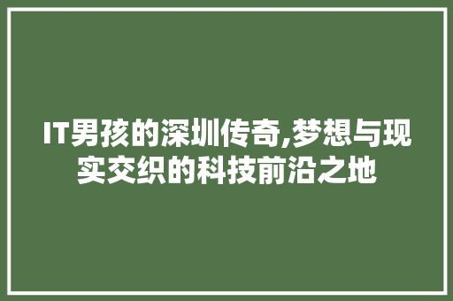 IT男孩的深圳传奇,梦想与现实交织的科技前沿之地