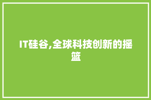 IT硅谷,全球科技创新的摇篮