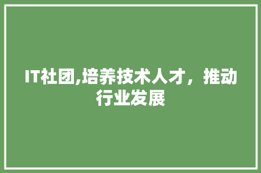 IT社团,培养技术人才，推动行业发展