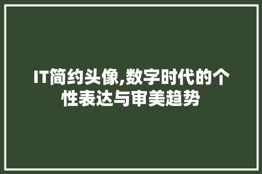 IT简约头像,数字时代的个性表达与审美趋势