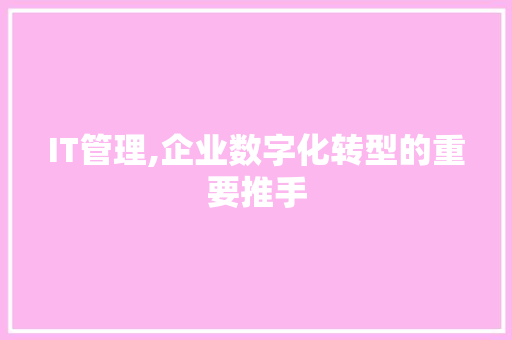 IT管理,企业数字化转型的重要推手