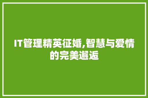 IT管理精英征婚,智慧与爱情的完美邂逅
