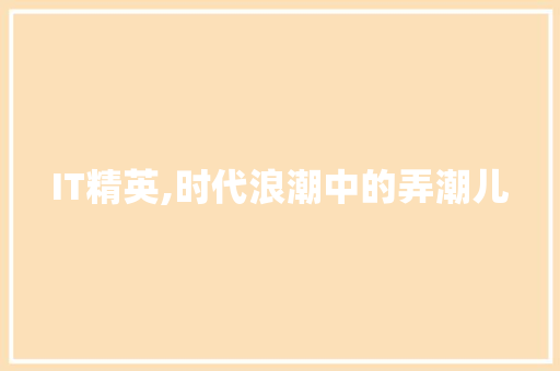 IT精英,时代浪潮中的弄潮儿 搜狗优化