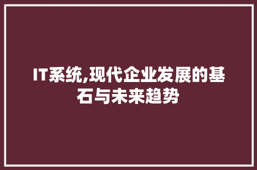 IT系统,现代企业发展的基石与未来趋势 网站优化