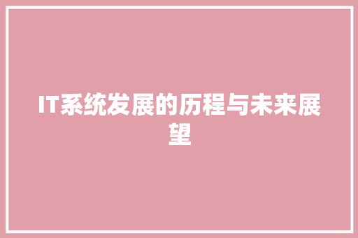 IT系统发展的历程与未来展望
