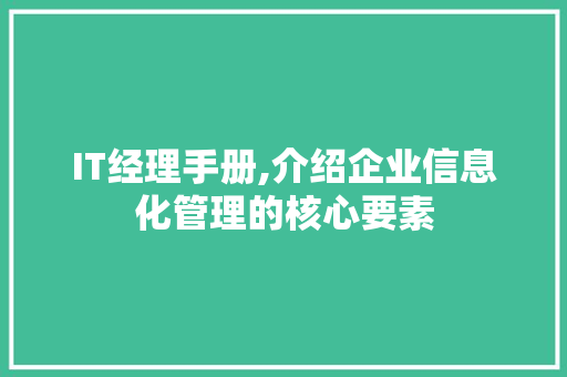 IT经理手册,介绍企业信息化管理的核心要素 seo技术