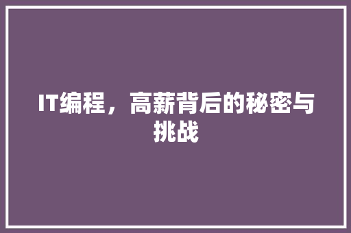 IT编程，高薪背后的秘密与挑战