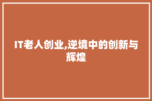 IT老人创业,逆境中的创新与辉煌