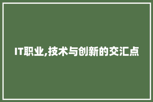 IT职业,技术与创新的交汇点