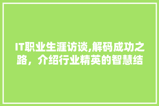 IT职业生涯访谈,解码成功之路，介绍行业精英的智慧结晶 英文谷歌算法