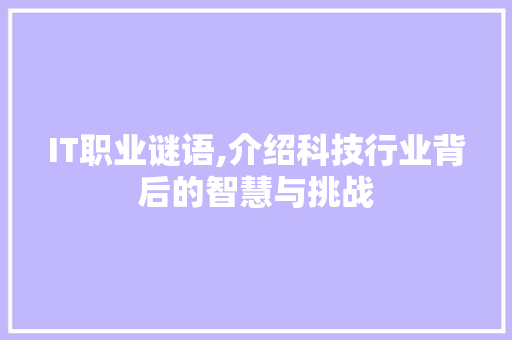 IT职业谜语,介绍科技行业背后的智慧与挑战 网站优化