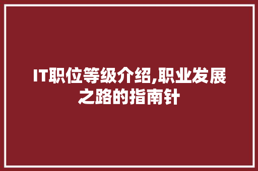 IT职位等级介绍,职业发展之路的指南针
