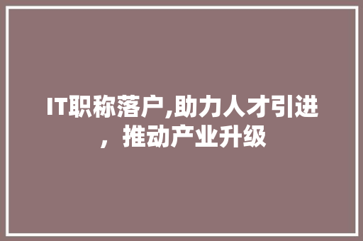 IT职称落户,助力人才引进，推动产业升级