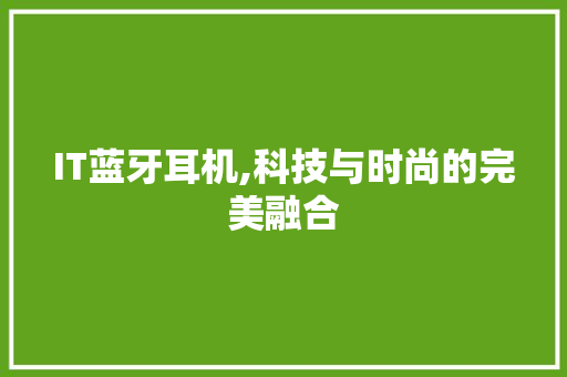 IT蓝牙耳机,科技与时尚的完美融合 AI技术学习