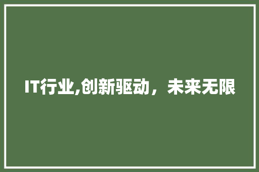 IT行业,创新驱动，未来无限